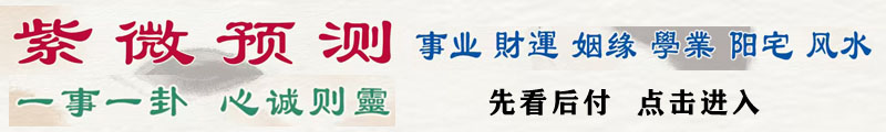 紫微斗数,左辅化科入财帛